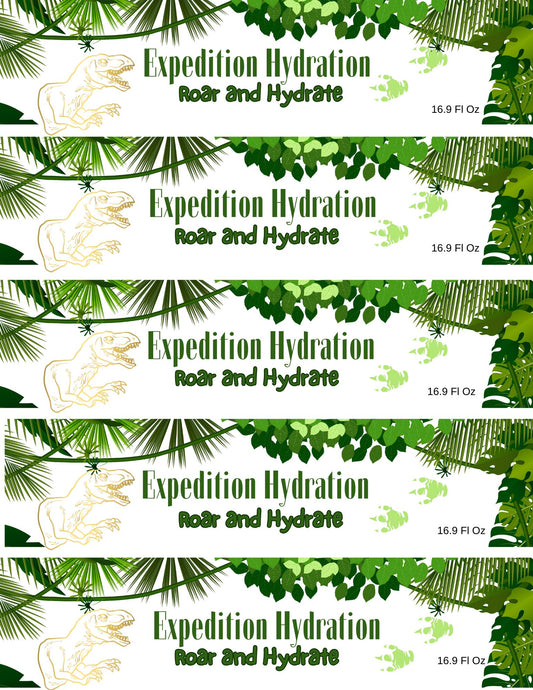 Dinosaur Party Package