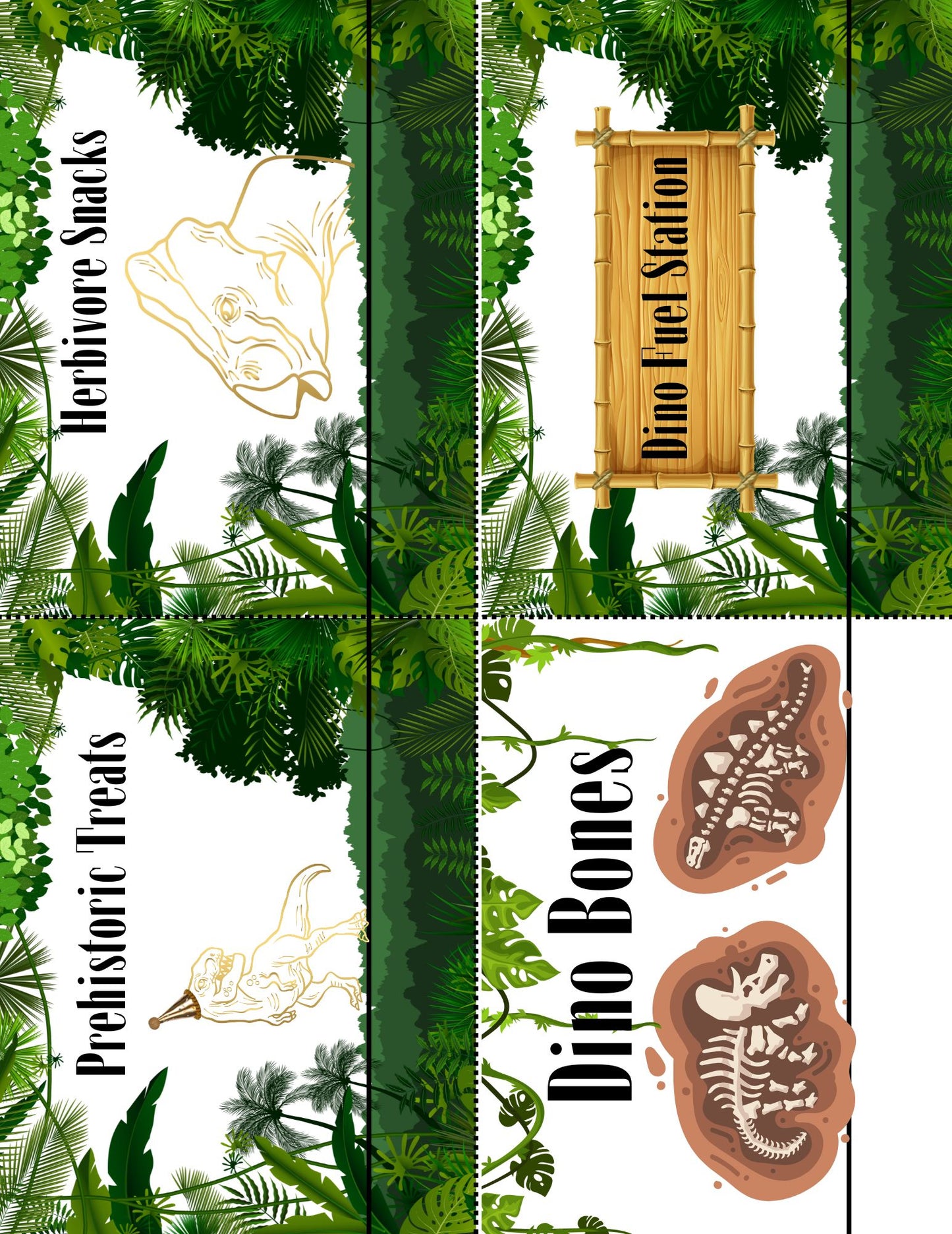 Dinosaur Party Package